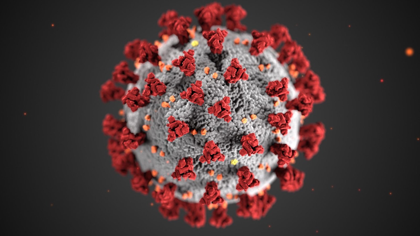 Covid-19 Virus